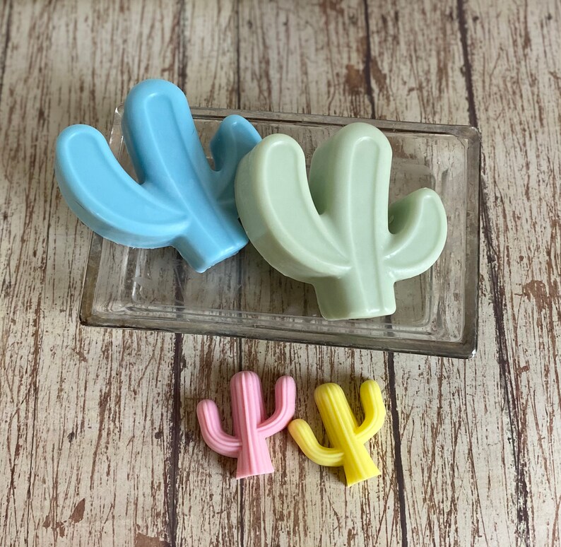 Pu&ograve; includere: Quattro saponi a forma di cactus in diversi colori: azzurro, verde chiaro, rosa e giallo. I saponi sono disposti su un piatto di vetro trasparente.