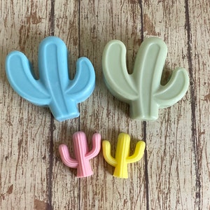 Pu&ograve; includere: Quattro saponi a forma di cactus di diverse dimensioni e colori. Il cactus pi&ugrave; grande &egrave; azzurro, il secondo pi&ugrave; grande &egrave; verde chiaro e i due pi&ugrave; piccoli sono rosa e giallo.
