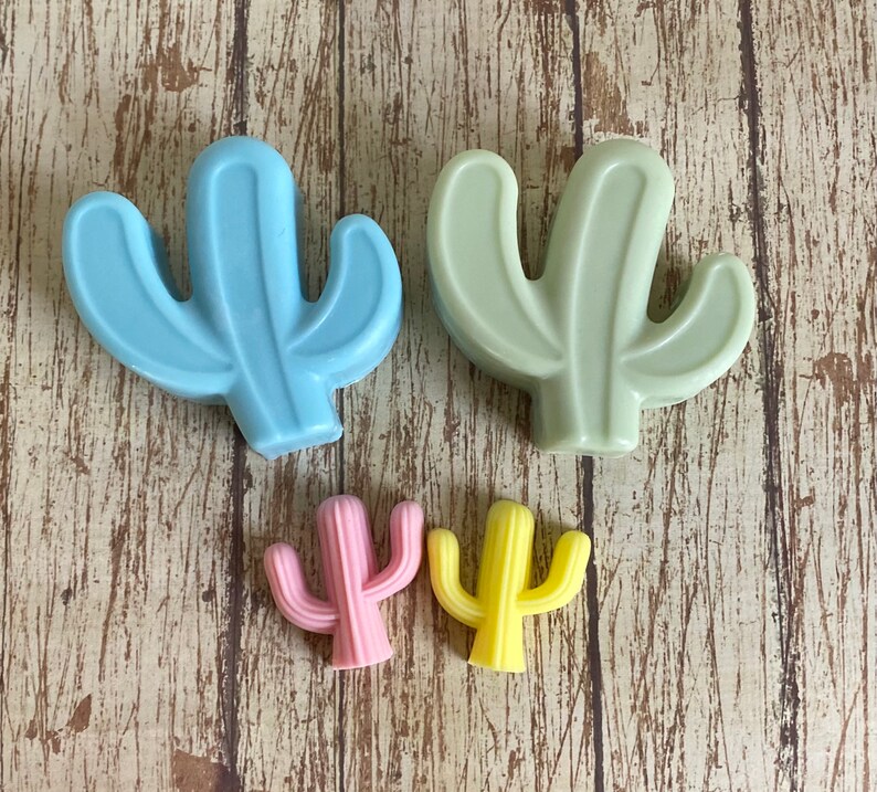 Pu&ograve; includere: Quattro saponi a forma di cactus di diverse dimensioni e colori. Il cactus pi&ugrave; grande &egrave; azzurro, il secondo pi&ugrave; grande &egrave; verde chiaro e i due pi&ugrave; piccoli sono rosa e giallo.