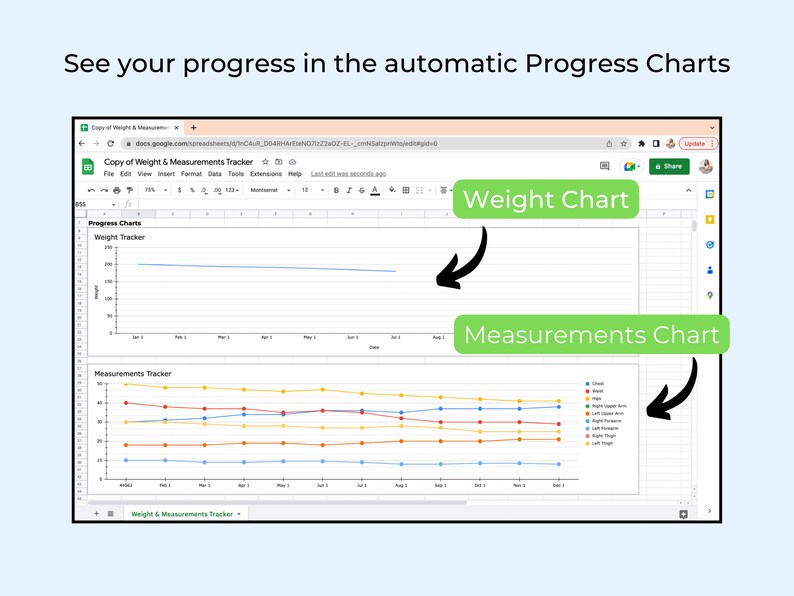 May include: A screenshot of a Google Sheets spreadsheet showing two charts. The top chart is titled "Weight Tracker" and shows a line graph of weight over time. The bottom chart is titled "Measurements Tracker" and shows a line graph of different body measurements over time. The charts are labeled with the text "Weight Chart" and "Measurements Chart".