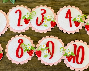 Strawberry Photo Banner, Berry Monthly Banner, Strawberry Decor