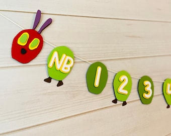 Hungry Caterpillar Monthly Banner, Caterpillar Birthday, Caterpillar Decor, Caterpillar Theme