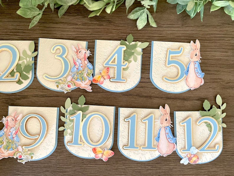 Peter Rabbit Photo Banner, Peter Rabbit Banner, Peter Rabbit Decor - Etsy