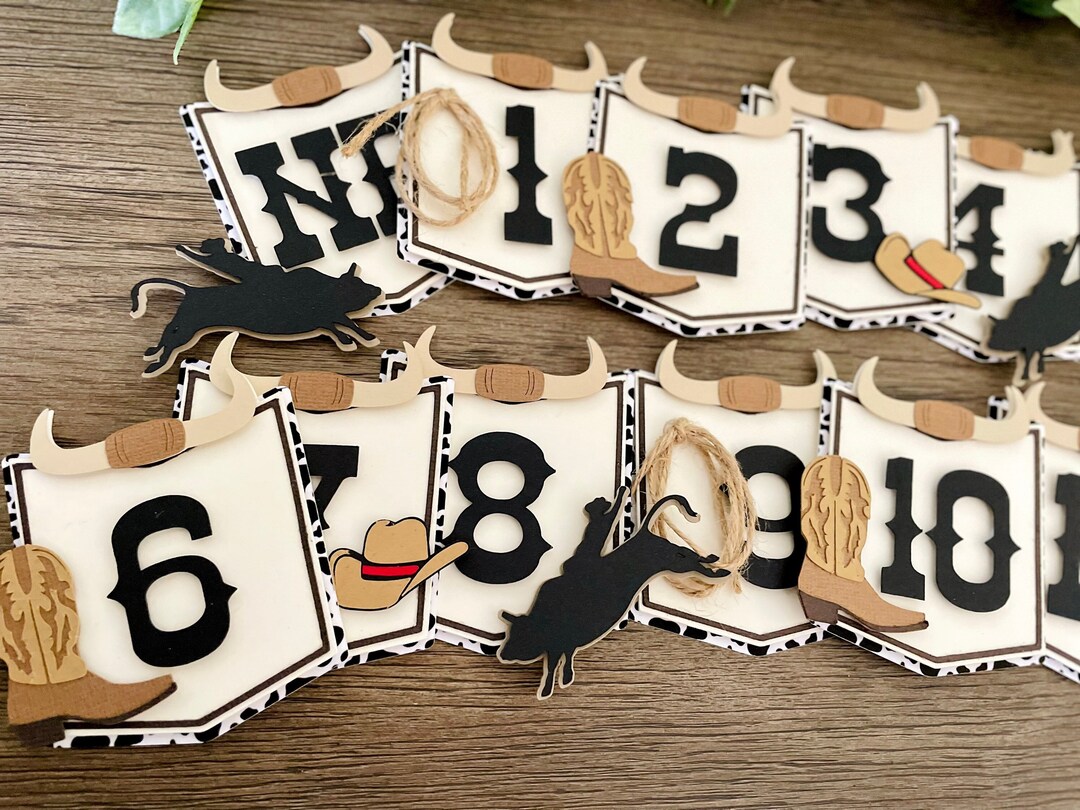 First Rodeo Photo Banner, Western Monthly Banner, Cowboy Photo Banner ...