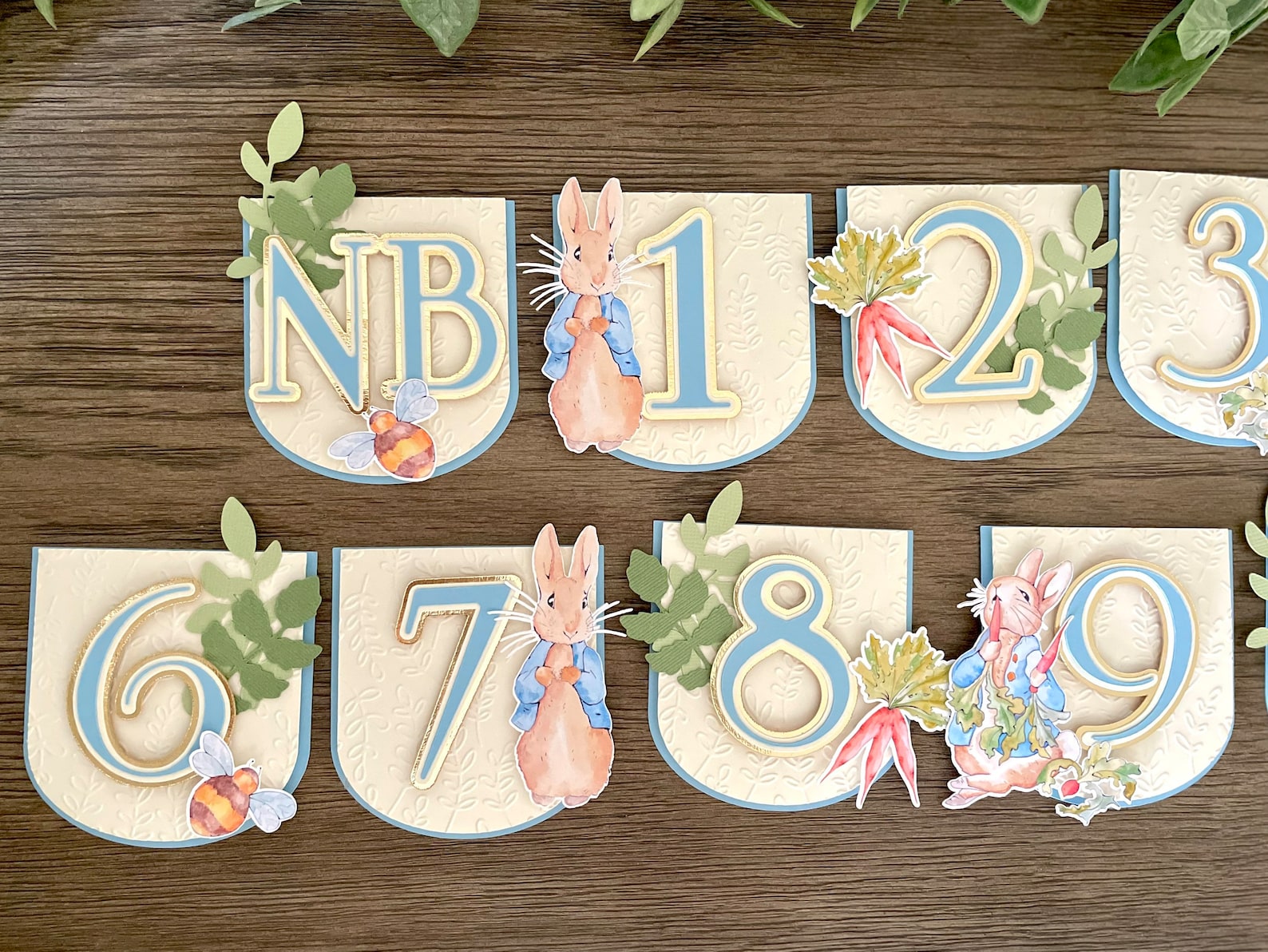 Peter Rabbit Photo Banner, Peter Rabbit Banner, Peter Rabbit Decor - Etsy