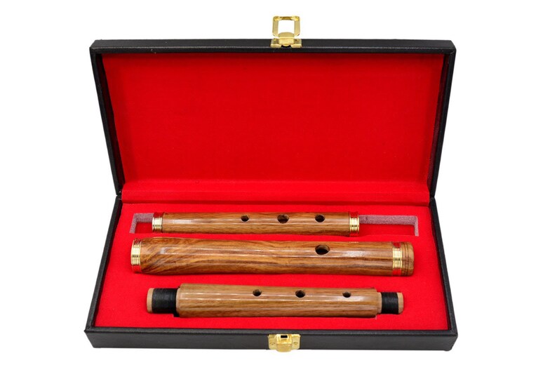 Irish Professional Tunable D Flute With Hard Case 23 Etsy