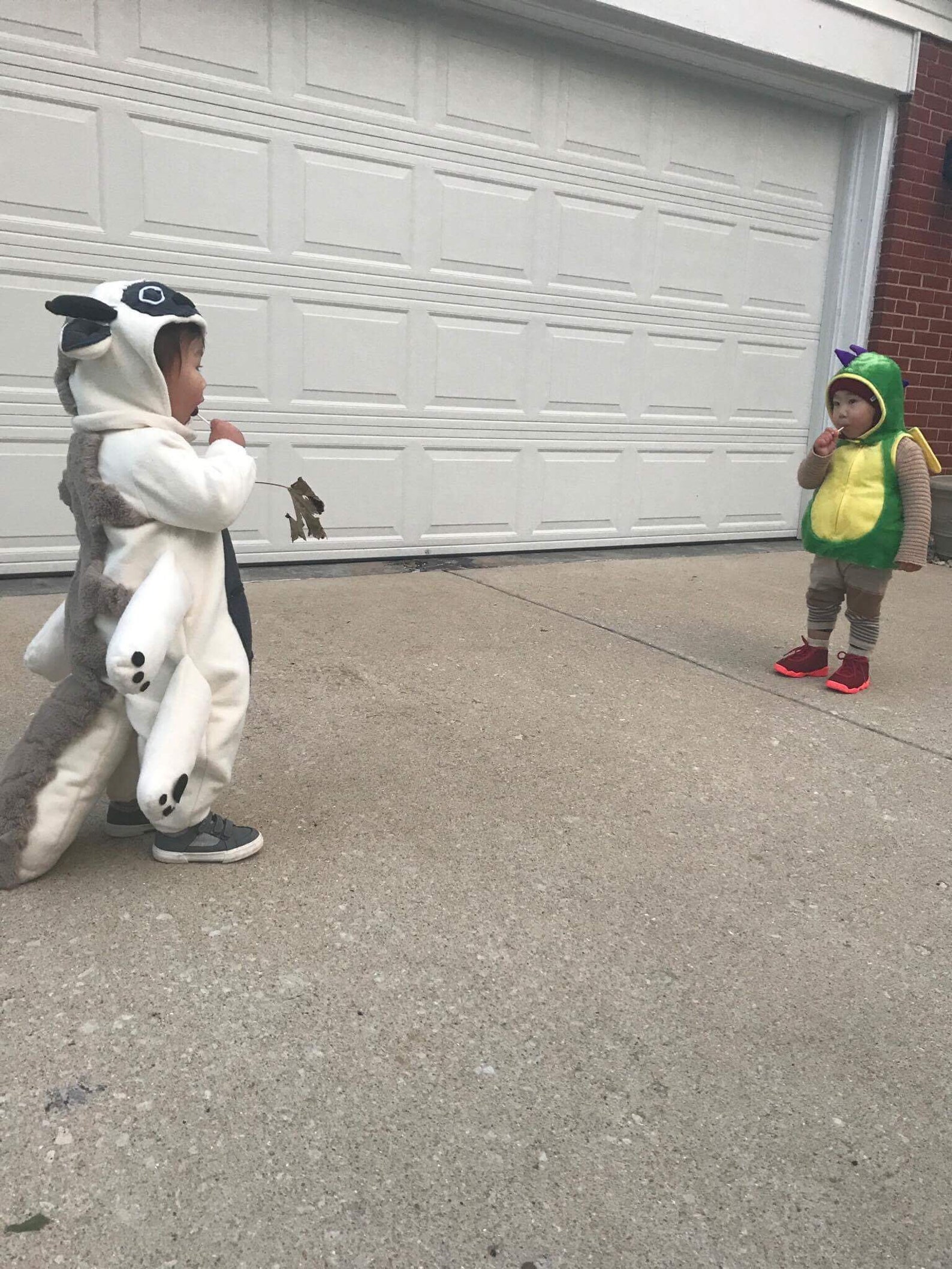 Appa Last Airbender Baby Costume CUSTOM ORDER for Jen Etsy