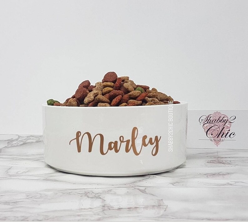 Personalised pet bowl Dog Bowl Cat bowl Custom Silver Copper image 1