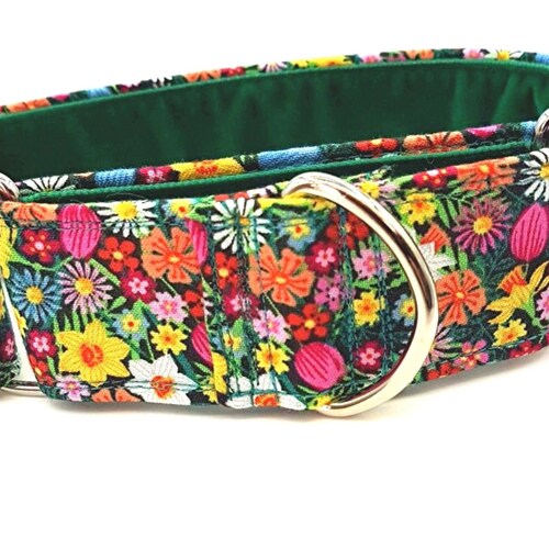 Martingale Dog Collar. 40mm Greyhound Whippet Sighthound Etsy