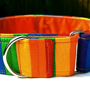 May include: A rainbow striped dog collar with silver metal hardware. The collar is made of fabric and has a bright, colorful design.