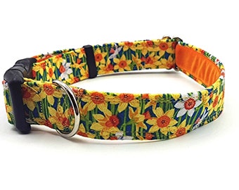 daffodil dog collar