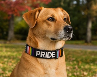 Rainbow Pride Dog Collar – Handmade. Velvet Lined.
