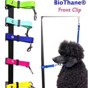 Può includere: Cinque guinzagli BioThane® con clip anteriore di diversi colori con un barboncino nero che indossa un guinzaglio blu attaccato a un supporto in metallo nero. I guinzagli sono verde, azzurro, blu, rosa e giallo.