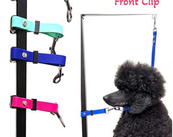 Grooming Pole Extender, Front Clip Strap with Biothane®. Metal Buckle.