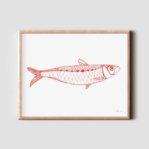 May include: A red line drawing of a sardine fish on a white background. The fish is outlined in red and has a detailed pattern of scales.