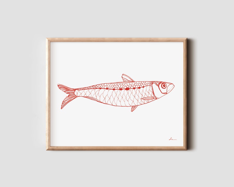 May include: A red line drawing of a sardine fish on a white background. The fish is outlined in red and has a detailed pattern of scales.