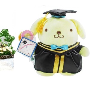 sanrio graduation plush