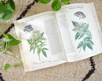 Das große Buch der Heilpflanzen von Artia Vintage Plant Book Illustration von 1983