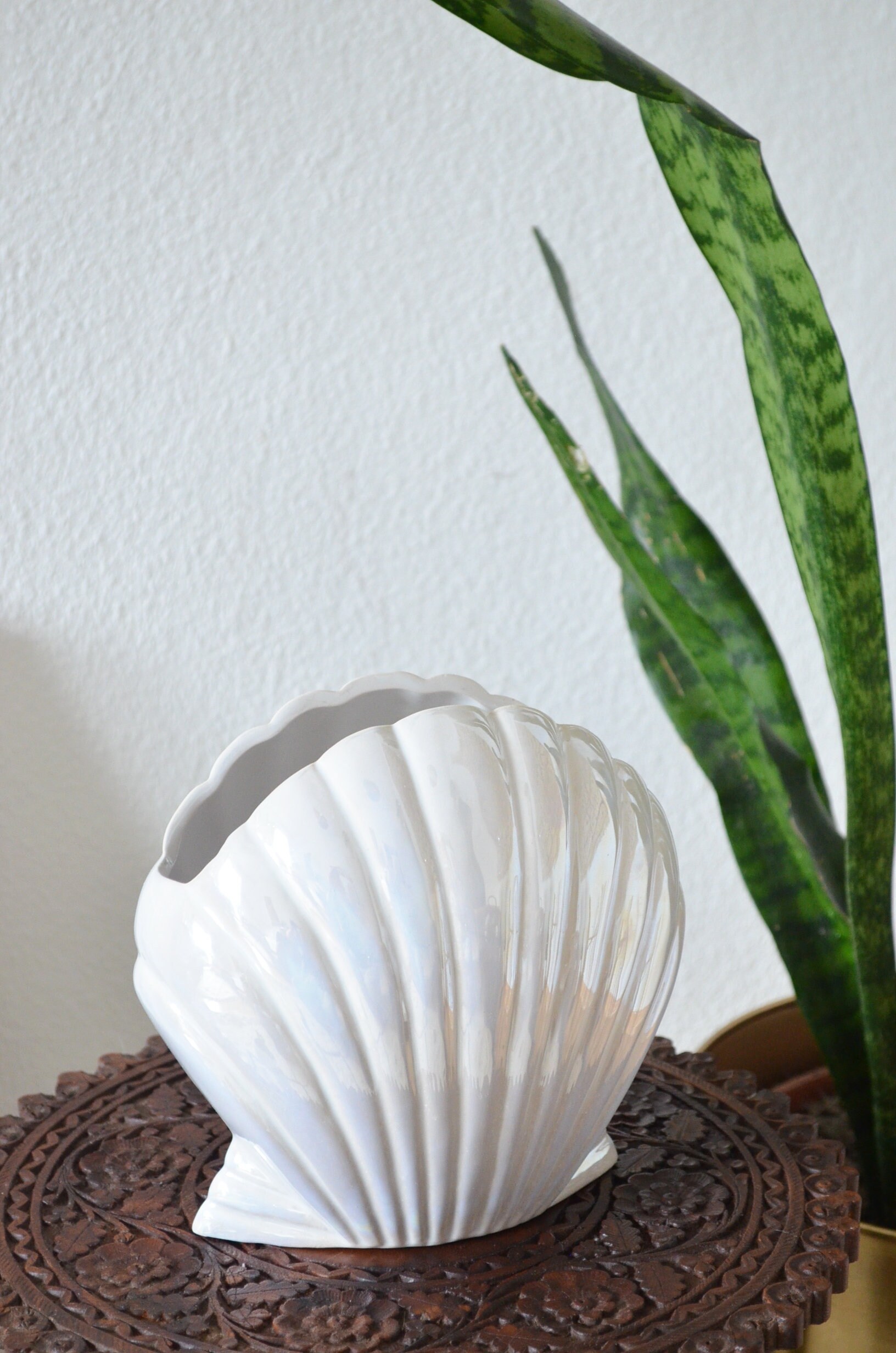 Vintage shell vase white changing shell white