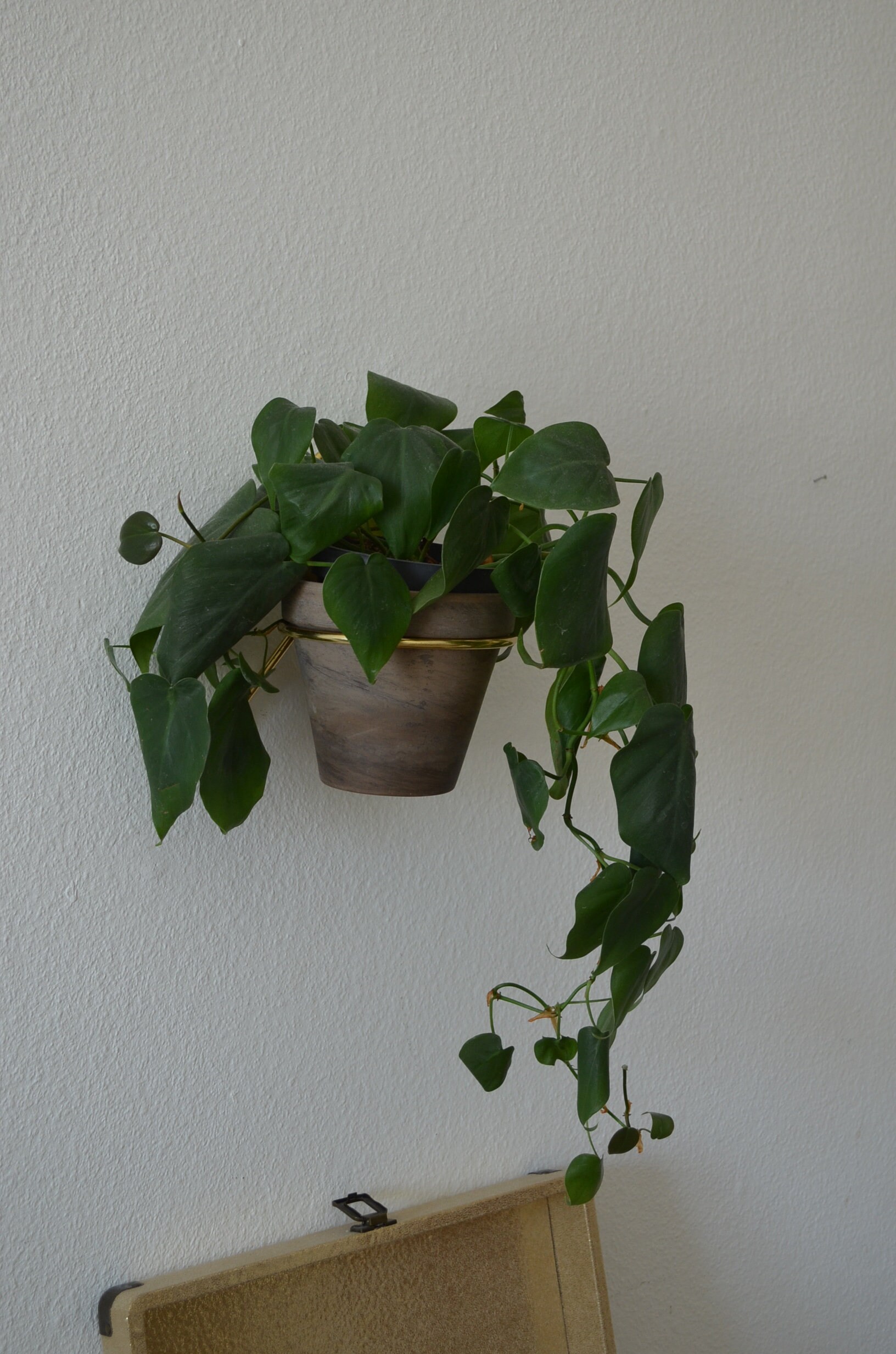 Vintage wall plant holder flower lamp brass gold wall planter brass