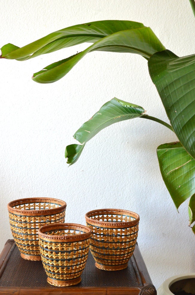 Set of three rattan flower pots Vintage wicker planter Plants green Boho
