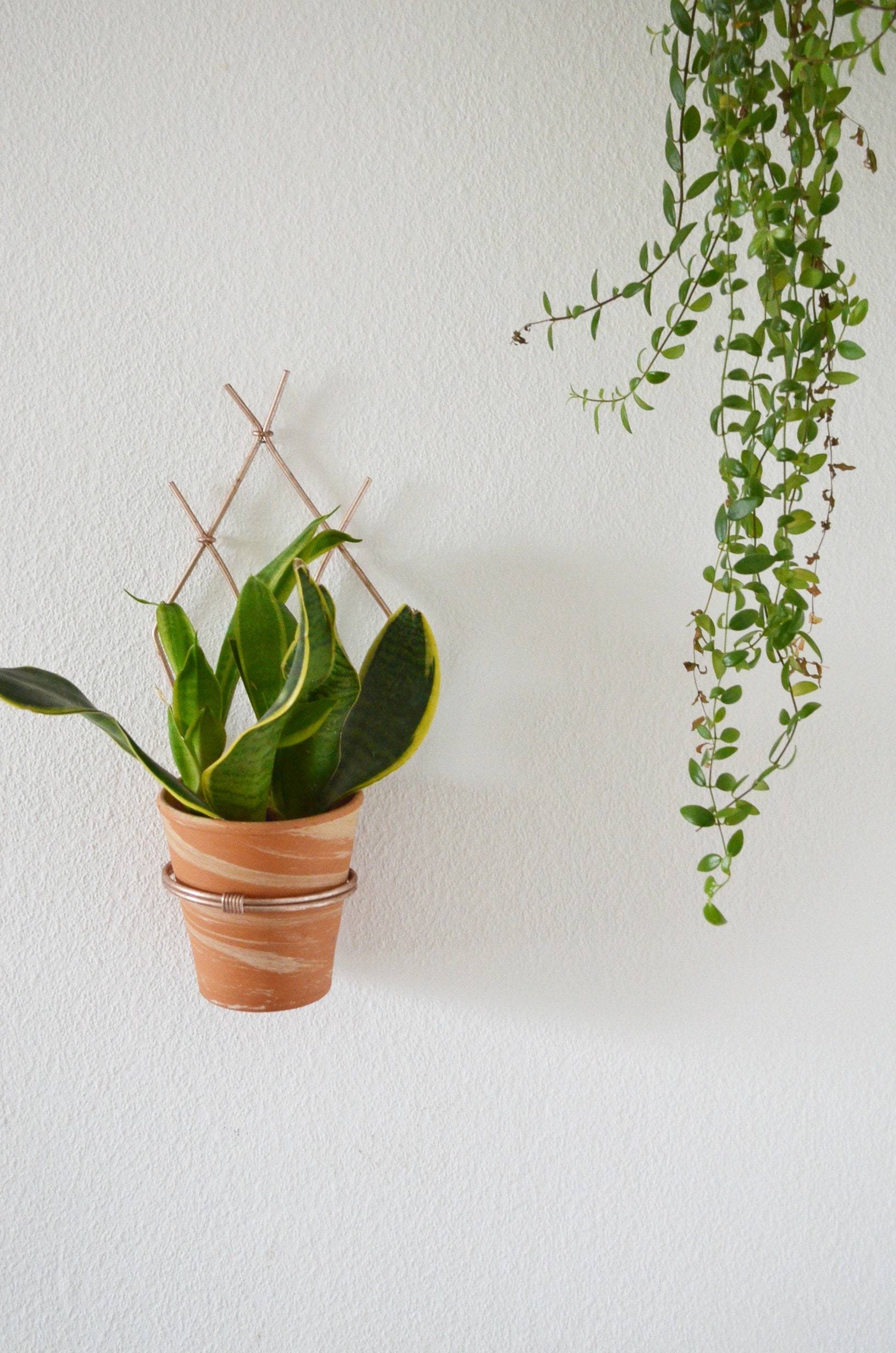 Vintage Mid century Flower holder for the Wall wall Planter rosegold