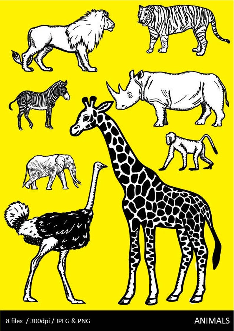 Black and White Animals Clip Art, Jungle Animals, Safari Animals, Zebra