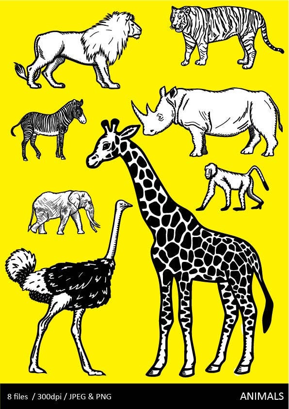 Schwarz Und Weiss Tiere Clipart Dschungeltiere Safari Tiere Etsy