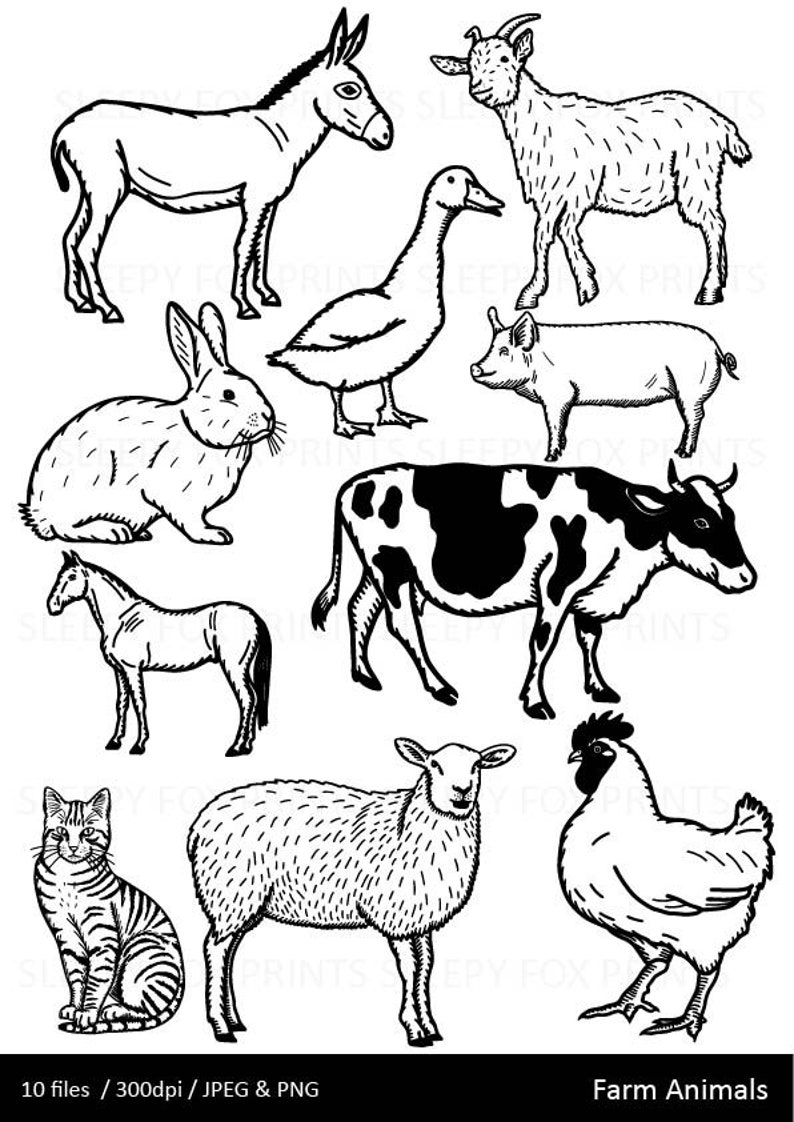 Farm Animal Clipart Clip Art Cow Sheep Pig Chicken | Etsy