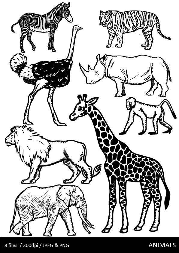 Black and White Animals Clip Art, Jungle Animals, Safari Animals, Zebra