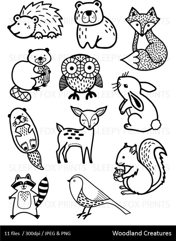 Woodland Clipart Woodland Clip Artdeer Clipart Owl Clipart Etsy