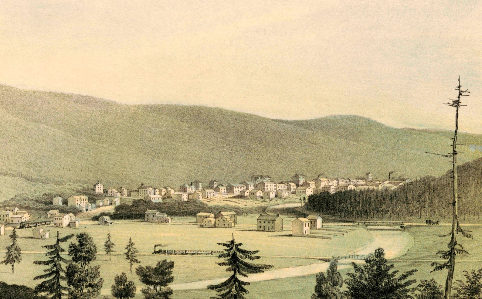 Shamokin PA, 1851 24x36 Inch Print Reproduced From a Vintage Lithograph