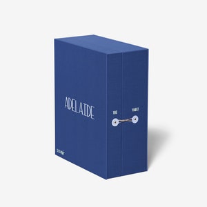 May include: A blue box with the text "ADELAIDE" and "THE VAULT" printed on it. The box is tied with a string and has a white label with the word "SCAVENGER" on it.