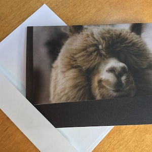 Alpaca Notitiekaarten / Alpaca Gift / Alpaca Kaarten & Enveloppen / Alpaca Thema / Lama Kaarten / Denken aan jou Kaarten
