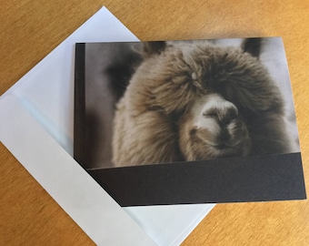 Alpaca Note Cards/Alpaca Gift/Alpaca Cards & Envelopes/Alpaca Theme/ Llama Cards/Thinking of You Cards