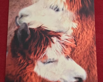 Alpaca Cards/Blank Cards/Alpaca Gift/Alpaca Cards & Envelopes/Alpaca Theme/ Llama Cards
