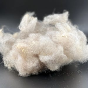 CVM/Romeldale Wool washed Locks 2oz