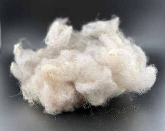 CVM/Romeldale Wool washed Locks 2oz