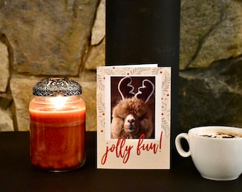 Jolly Fun Alpaca Holiday Card/Alpaca Cards/Holiday Cards/Christmas Cards/Alpaca/Card Stock/5-card pack/Llama Cards/Alpaca Theme