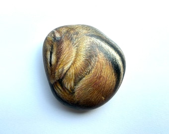 Chipmunk Rock | Sleeping Chipmunk | Chipmunk Paperweight