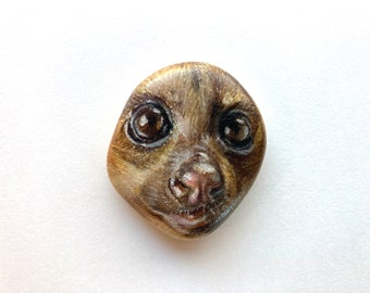 Kinkajou Rock | Worry Stone | Animal Rock Art