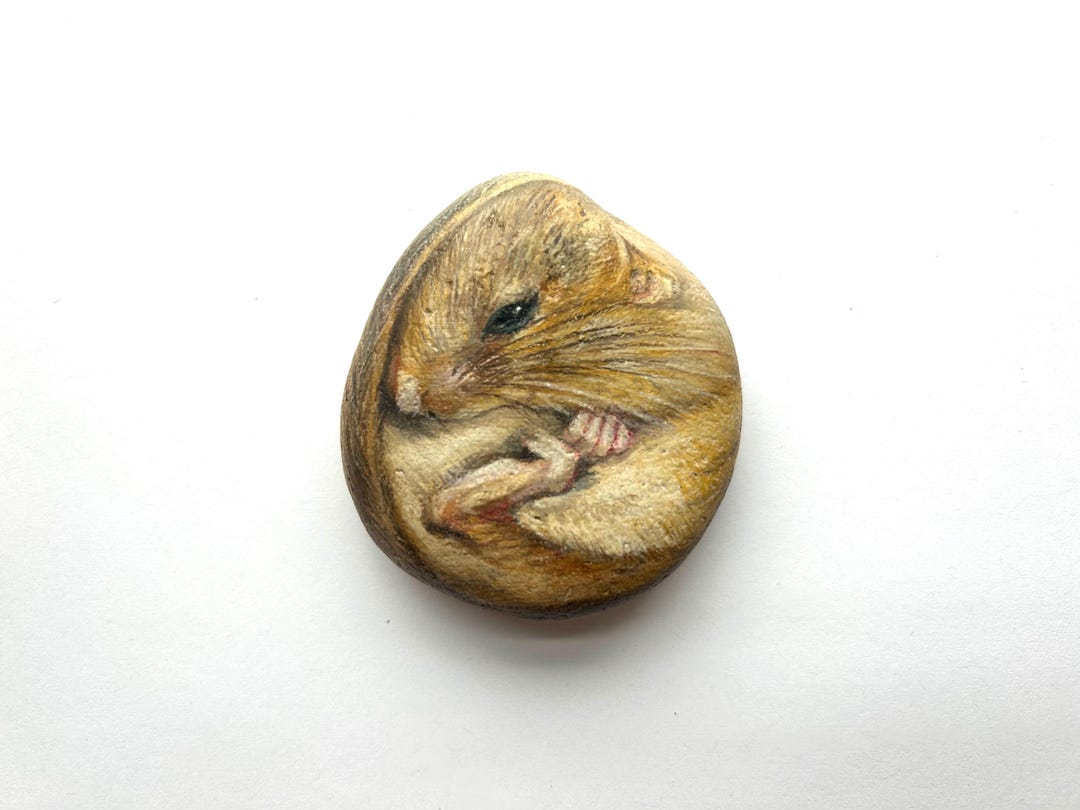 Dormouse Rock | Mouse Paperweight | Animal Rock Art - Etsy