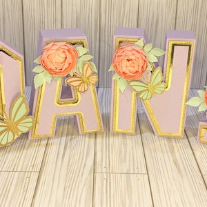 3D numbers, 3D letters, 3D free standing letter, 3D letters with butterflies, princess 3D letters