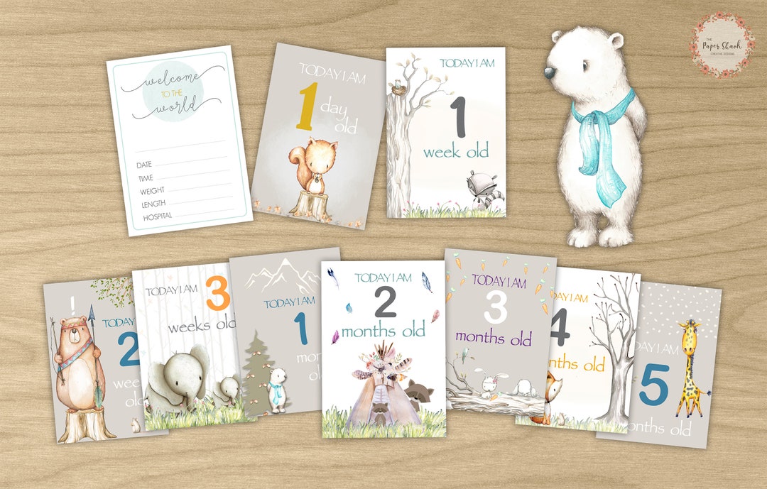 Woodland Animals Baby Milestone Cards_boy or Girl_021 - Etsy