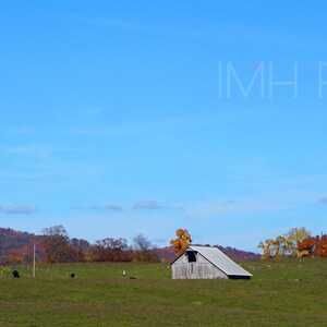 Virginia Farm, Fall - Shenandoah Valley, Barn, Color, Fall, Autumn, Leaves - Photography, Photo - 4x10, 8x24, 12x36, 4x6, 5x7, 8x10, 11x14