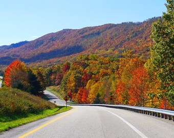 Slice of Shenandoah, Fall - Panoramic, Trees, Autumn, Appalachians, Road, Fall, Mountains, Pano, Winding Road, 4x10- 12x4 - 8x24 - 12x36