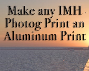 Aluminium/metaalafdruk van IMH-fotoafdrukken