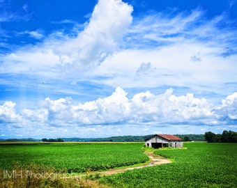 Barn & Clouds I and II - Barn, Rural, Clouds, Blue, Green, Missouri, Farm, Field, Rural- Photography, Photograph- 4x6, 5x7, 8x10, 11x14