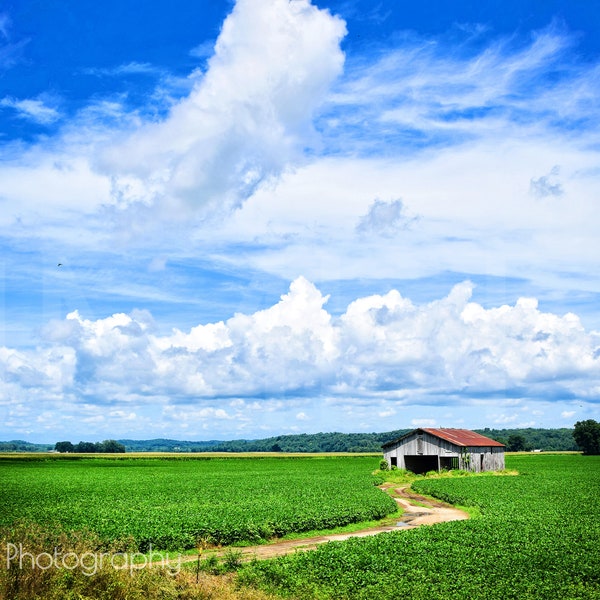 Barn & Clouds I and II - Barn, Rural, Clouds, Blue, Green, Missouri, Farm, Field, Rural- Photography, Photograph- 4x6, 5x7, 8x10, 11x14