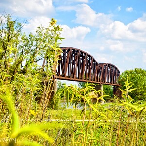 May include: A rusty metal bridge with a single arch spans over a grassy area. The bridge is surrounded by tall green plants and trees. The sky is blue with white clouds.